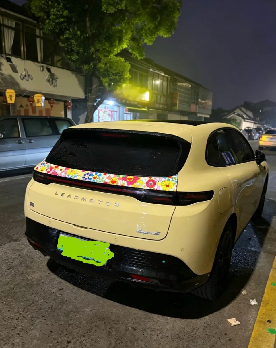 说实话，当初选零跑Lafa5，是因为极速拍档也买了这个车，要知道这个博主是专业赛