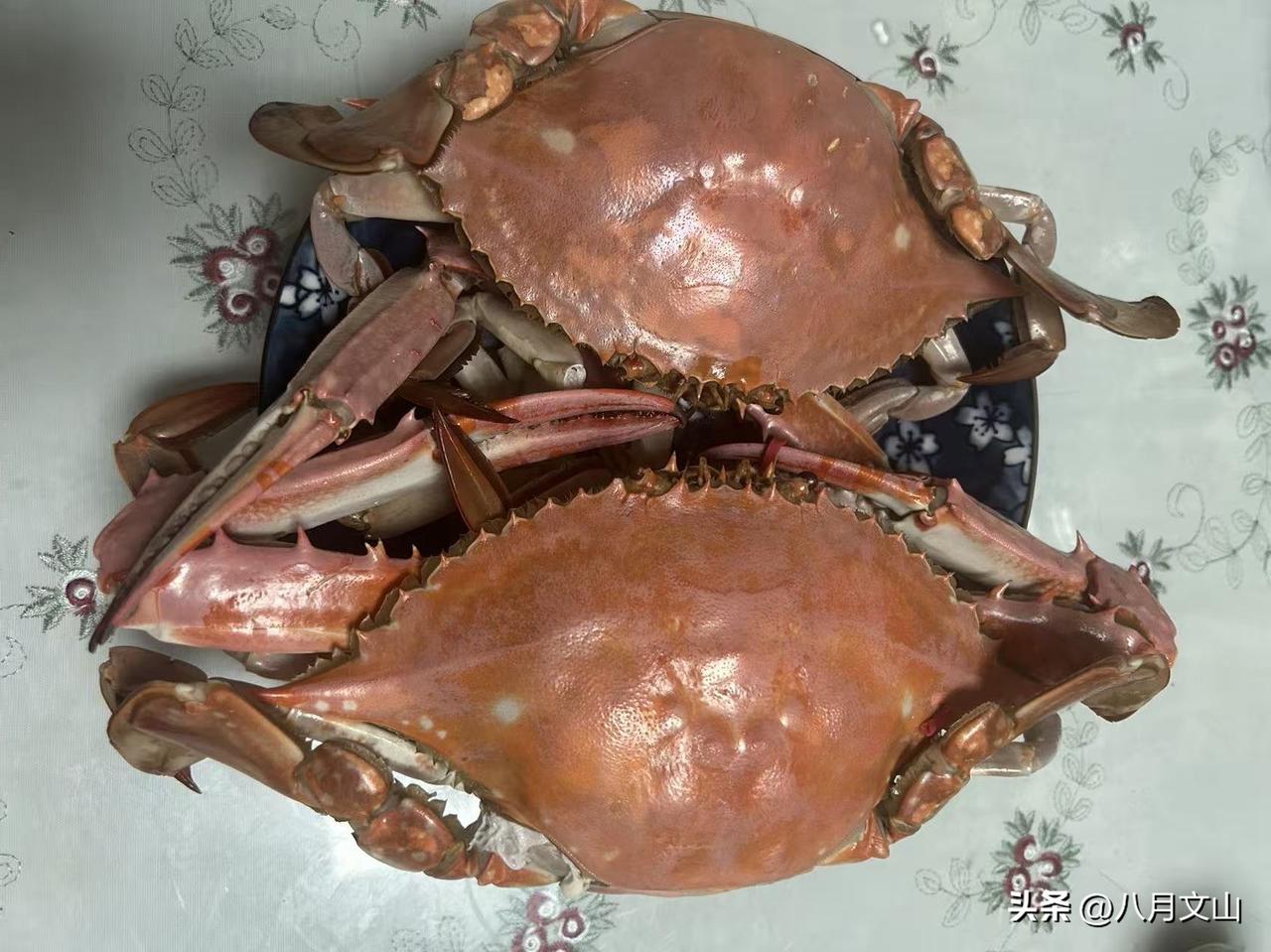 她听说我加班没吃饭，拿来两只大螃蟹。说她也没吃饭，买了两只螃蟹一起吃，还说现在正