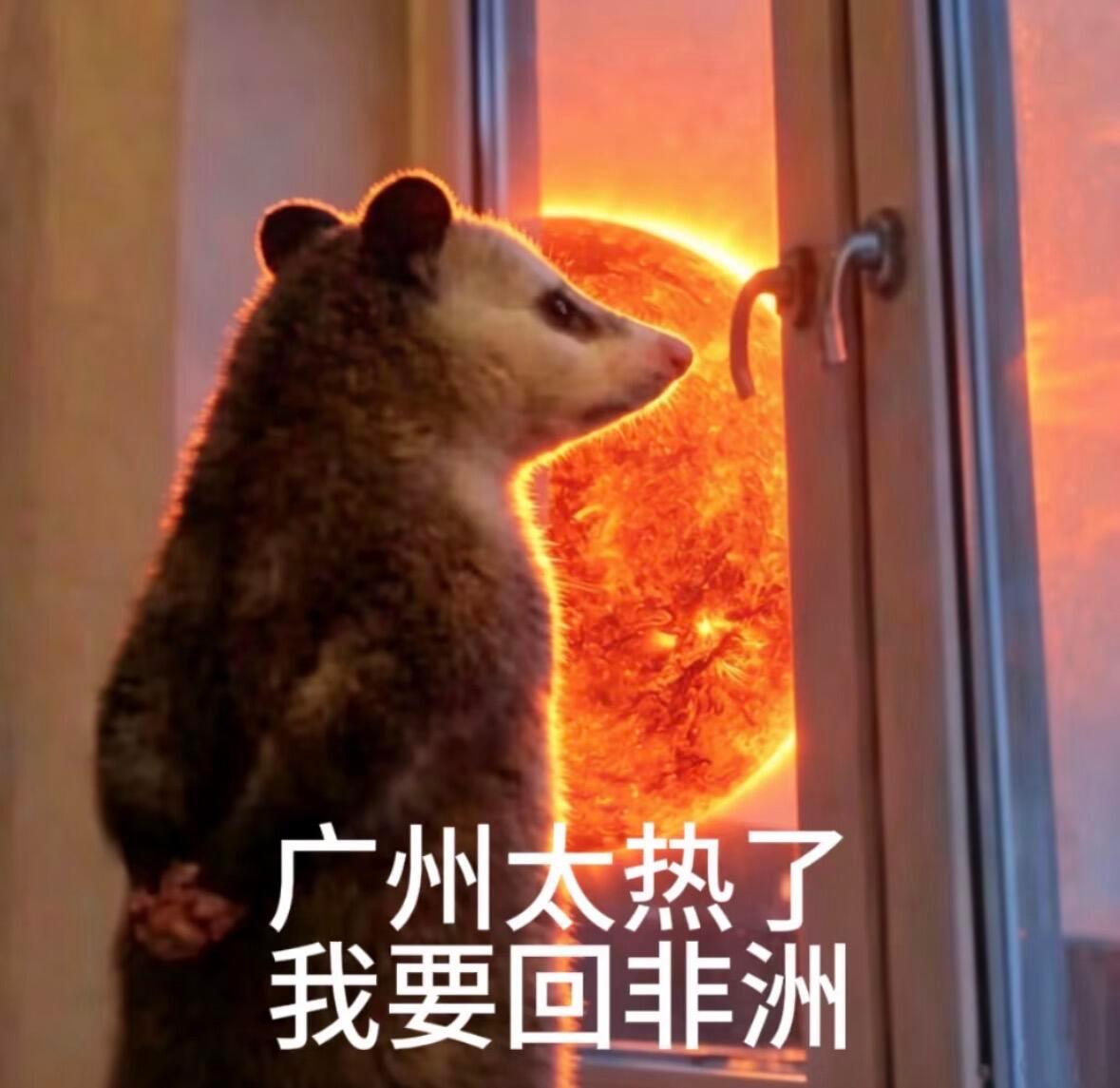 好想下楼摸鱼啊