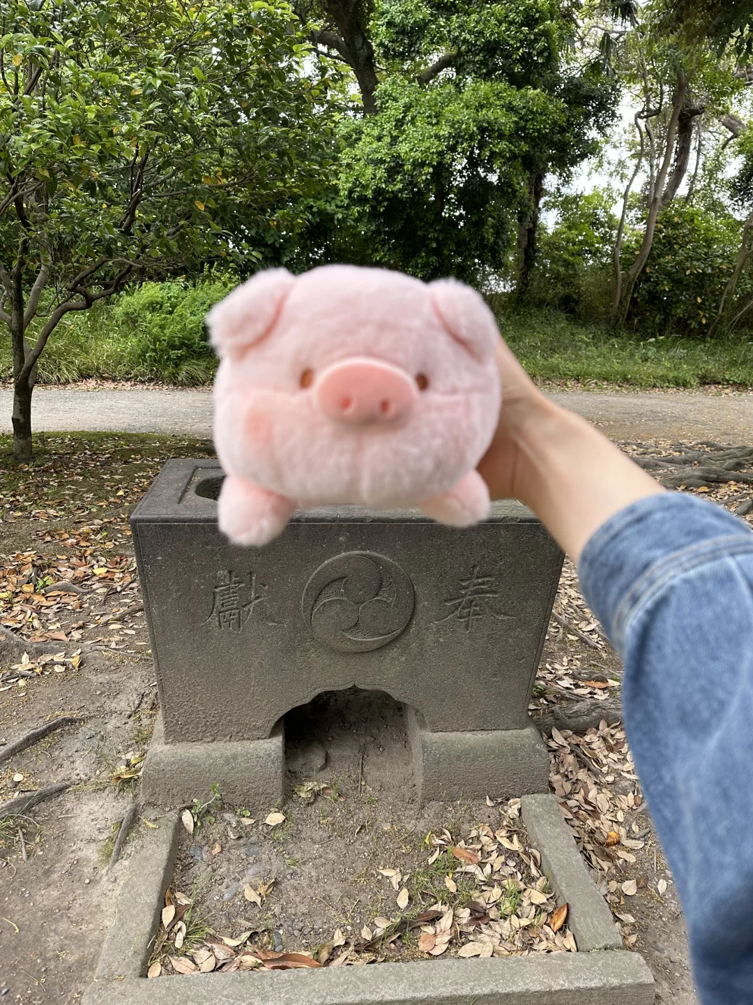 小趴猪游东京7