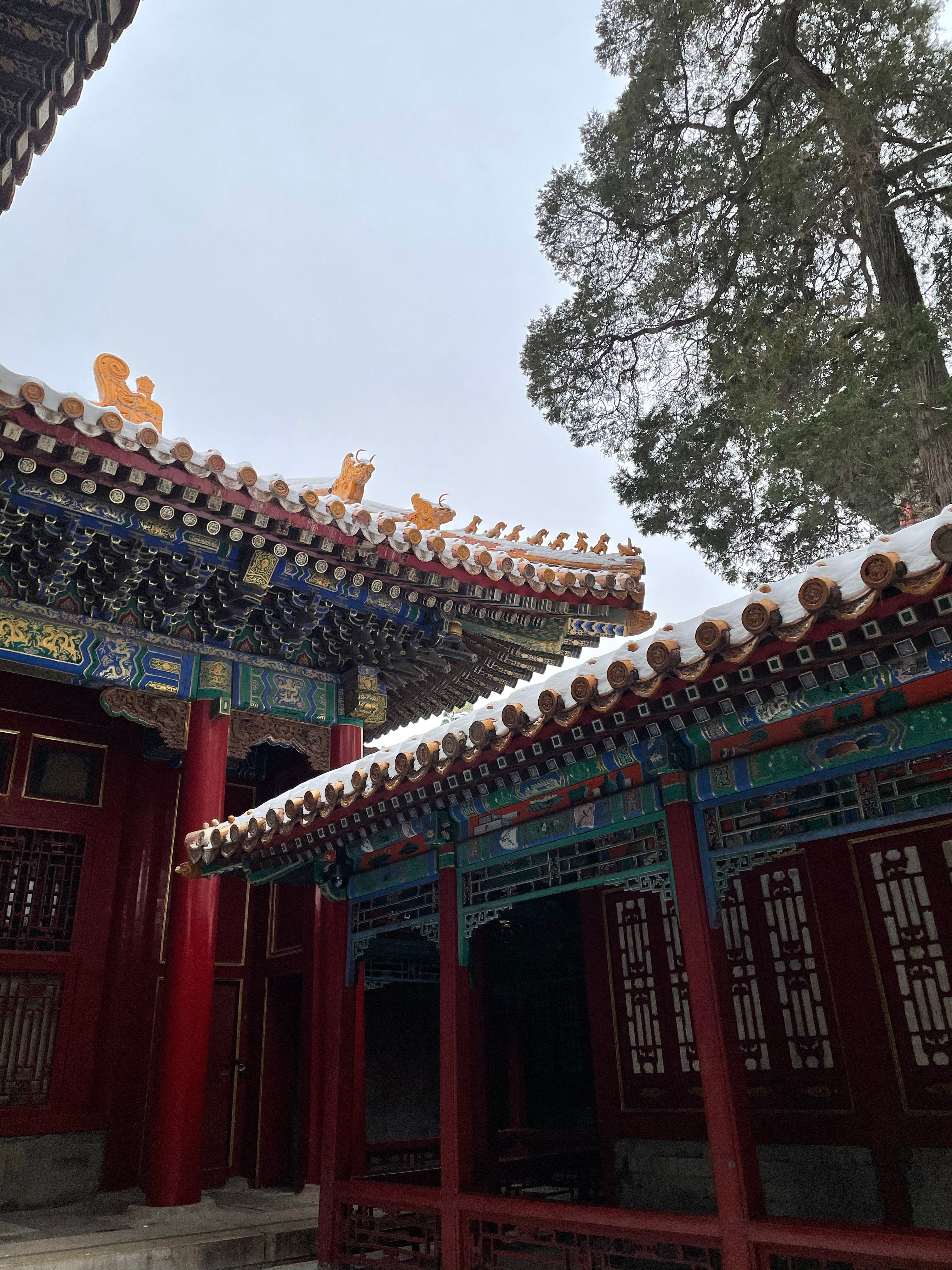 想去多次故宫看雪[可憐]北京下雪了 ​​​