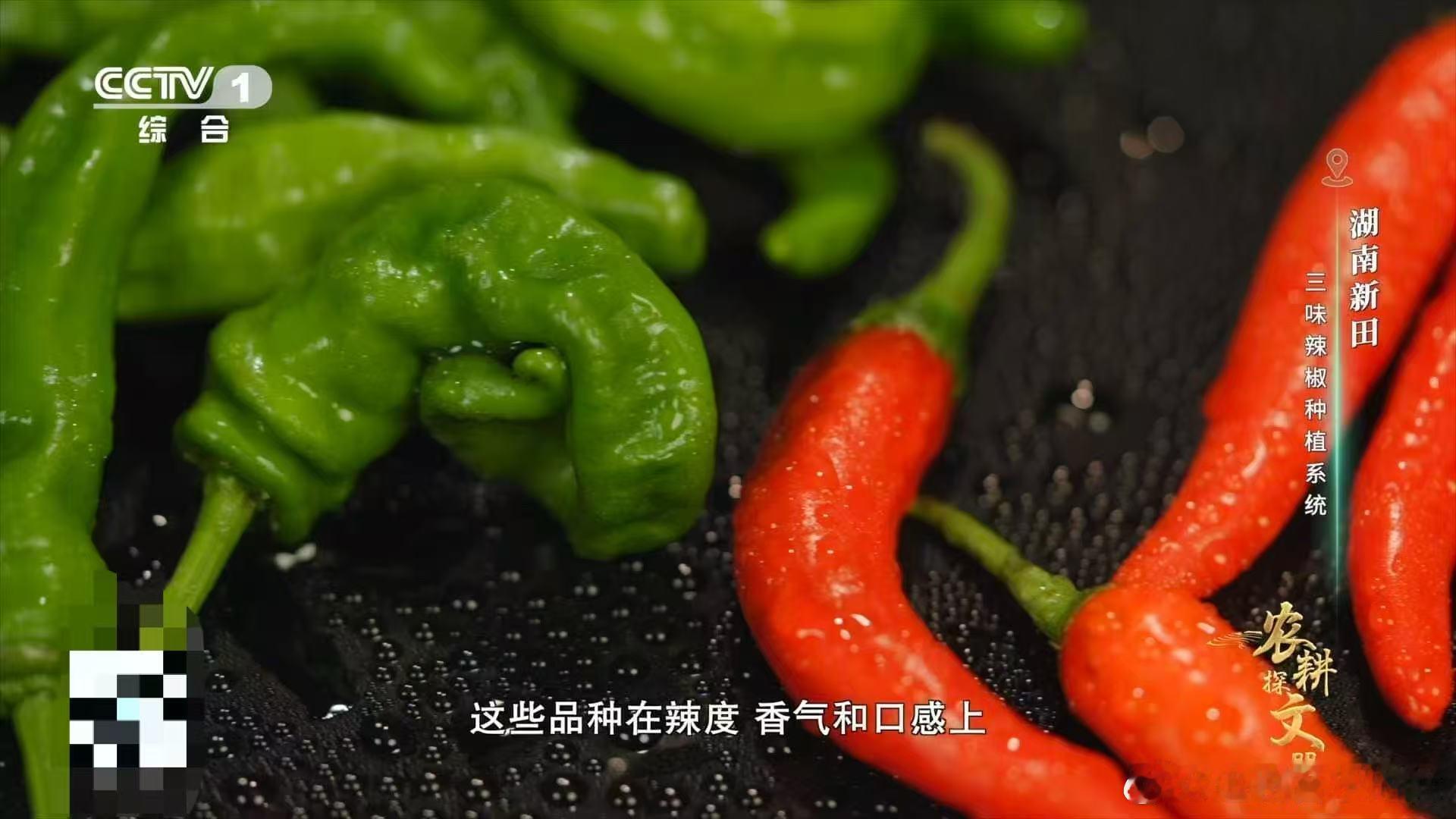 辣椒界变形金刚现身！湖南新田狠活：前调甜美可人，中调热辣狂野，后调醇香深沉。一口