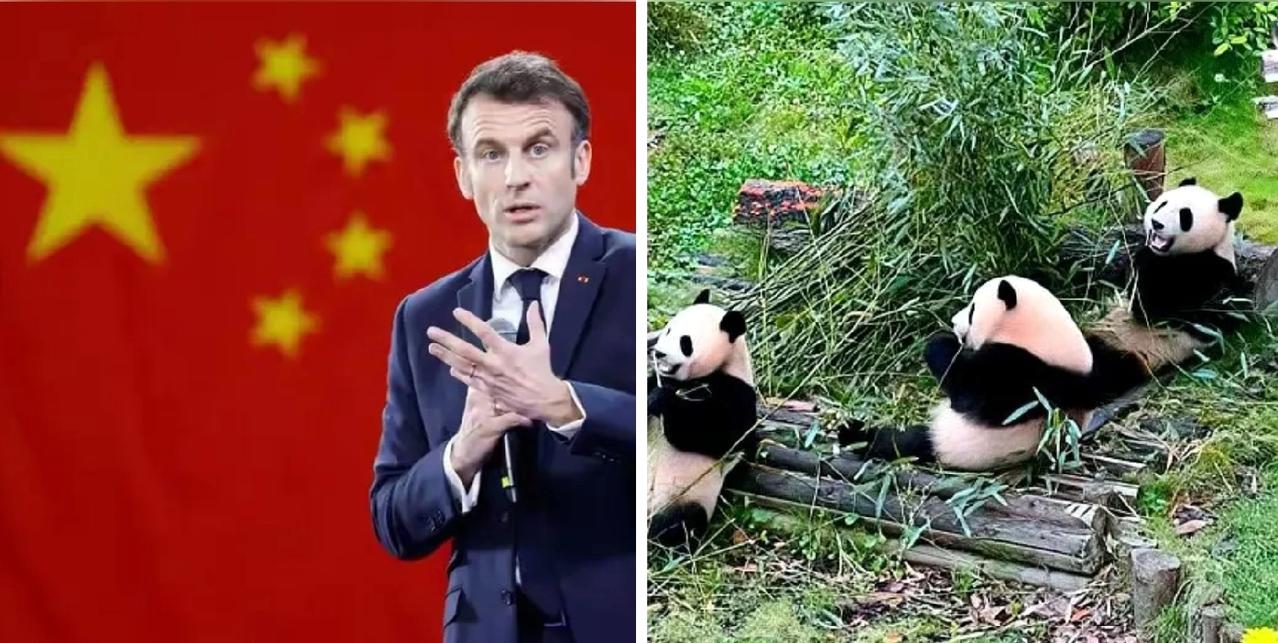 马克龙的熊猫外交：一场“萌萌哒”的战略访问

法国总统马克龙这趟成都之行，表面上