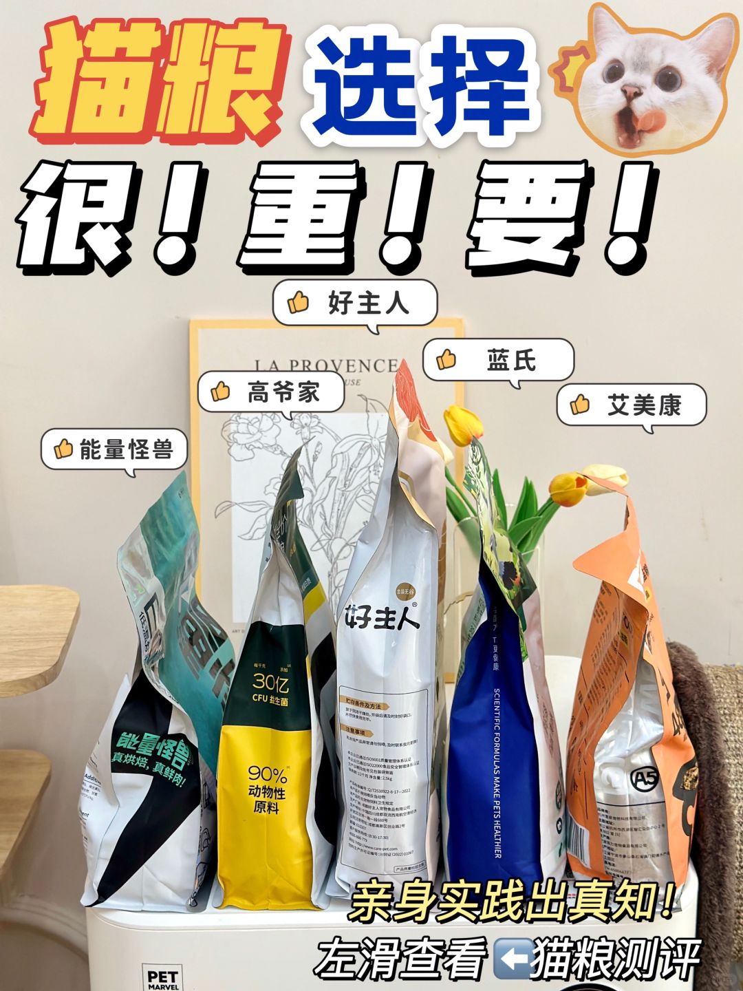 猫粮到底怎么选😩风大就是真的好⁉️