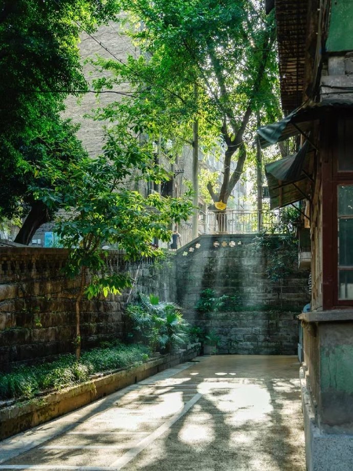 巷子里的光，有了夏天的味道 ​​​