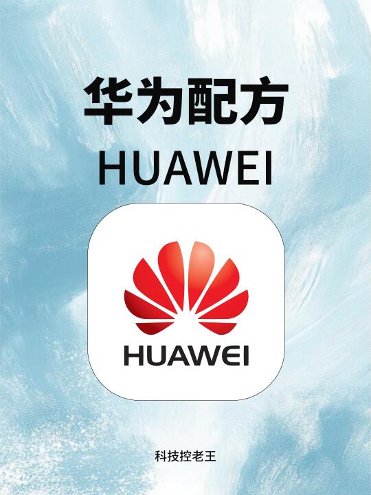 华为手机都可以看