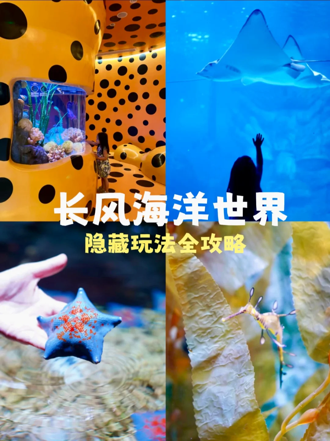 华东仅有|对不起长风海洋，是我低估你了！