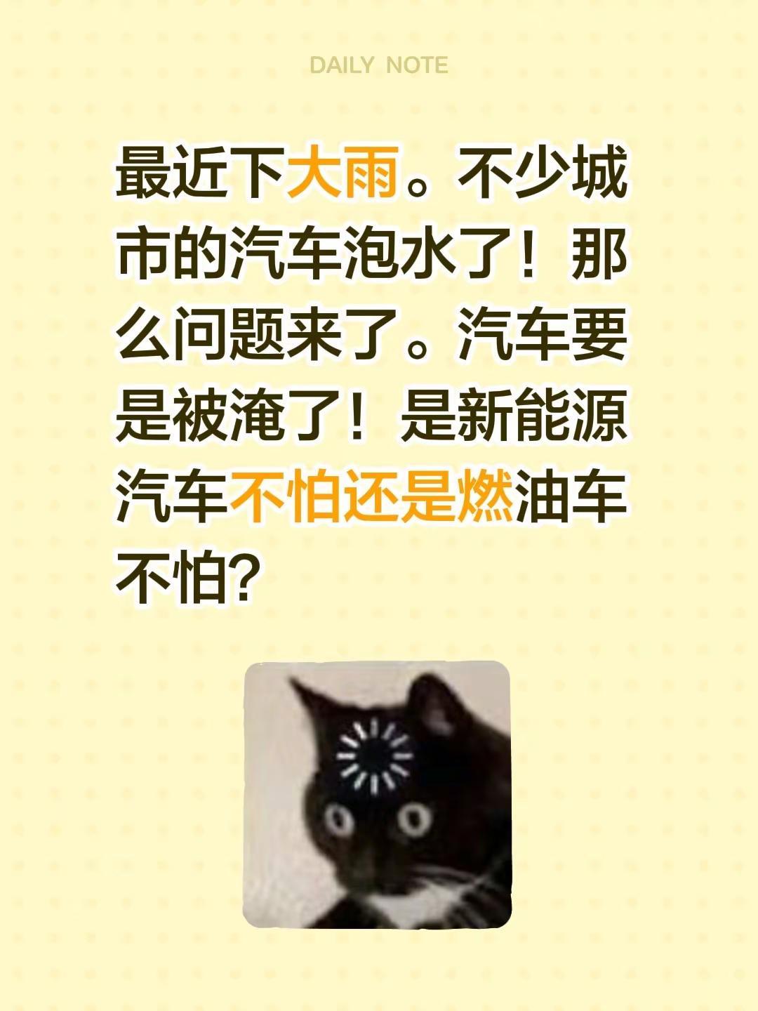 最近下大雨。不少城市的汽车泡水了！那么问题来了。汽车要是被淹了！是新能源汽车不怕