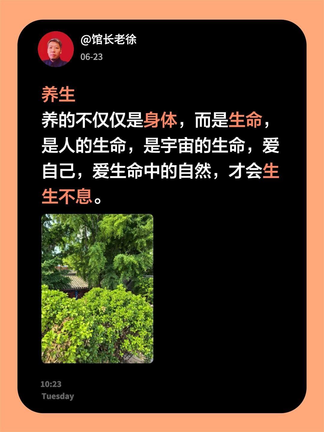 养生
养的不仅仅是身体，而是生命，是人的生命，是宇宙的生命，爱自己，爱生命中的自