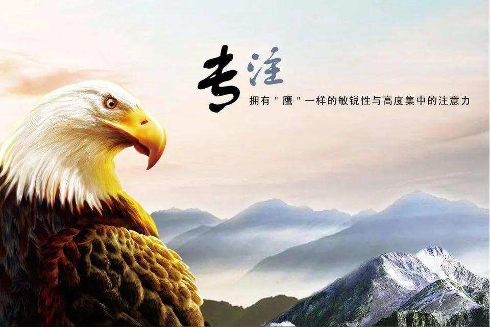 人生最重要的，是在自己的一方天地里发光发热

这世间的人，千人千面，各有因缘。每