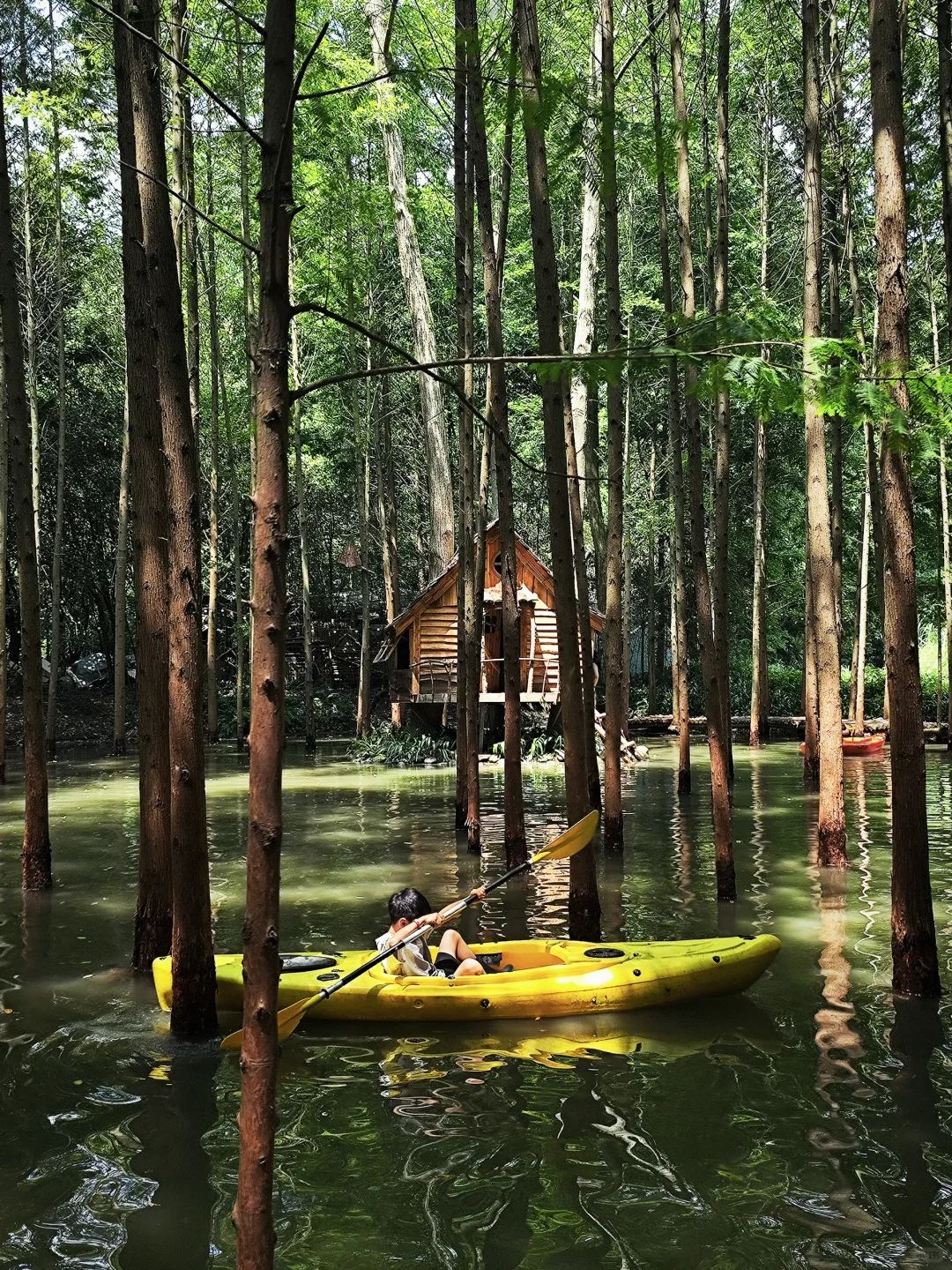 我心目中超棒的露营地，过来感受25℃的夏天