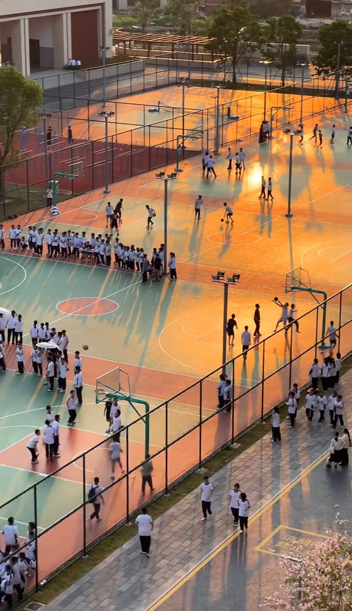 学校已经发展成这样了吗夕阳把篮球场染成橘子海 校服少年在光影里追着球跑 连风都裹