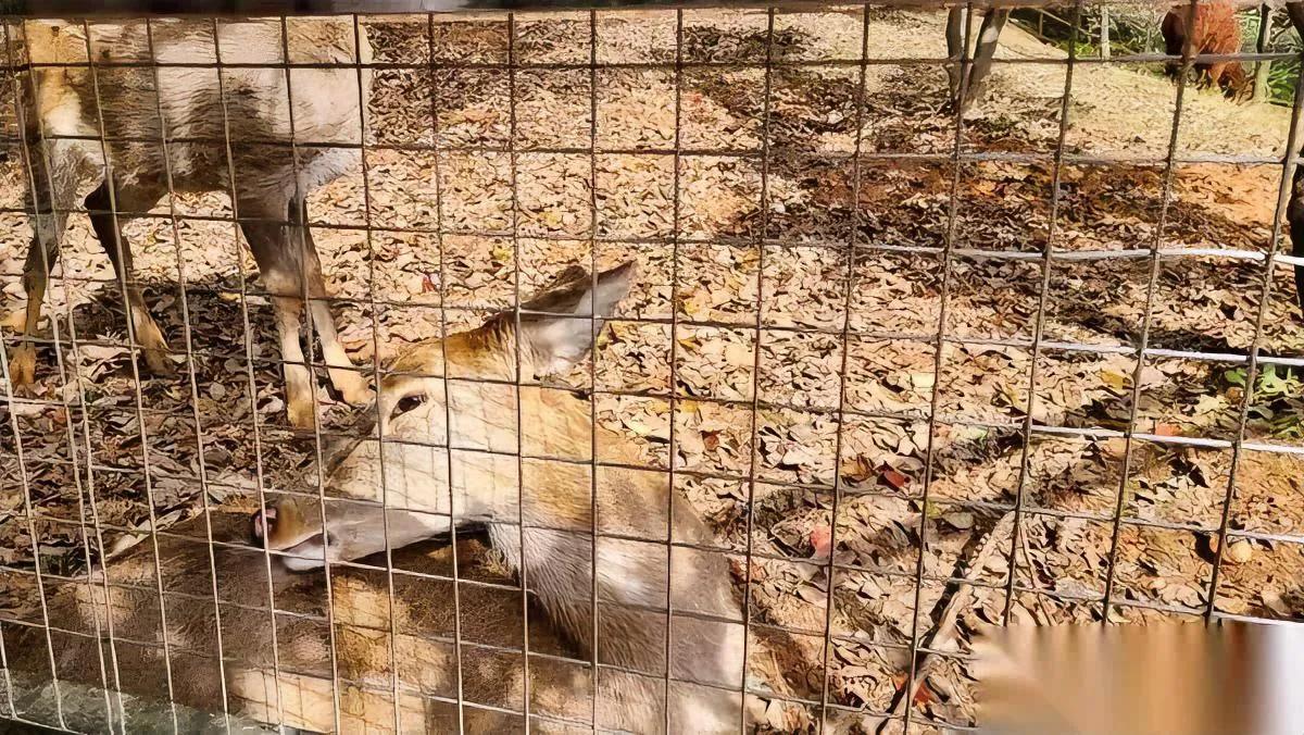 工资条发完，收益清零了

每天2分钱在头条“续命”

发完工资条后，收益就像人间