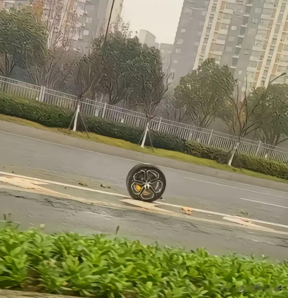 我的孤独无人能懂！