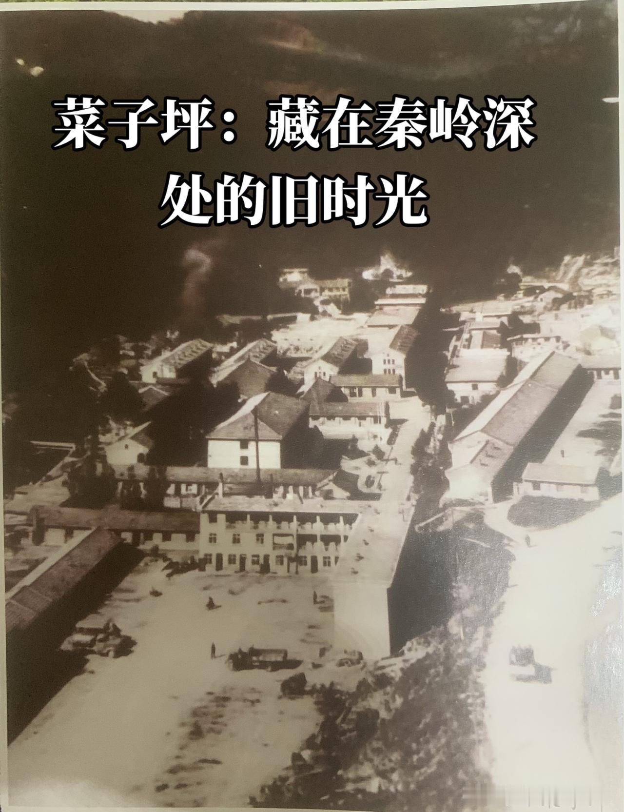 菜子坪，静卧在秦岭南麓的腹地深处，藏于陕西安康宁陕县的青山之间，上世纪七八十年代