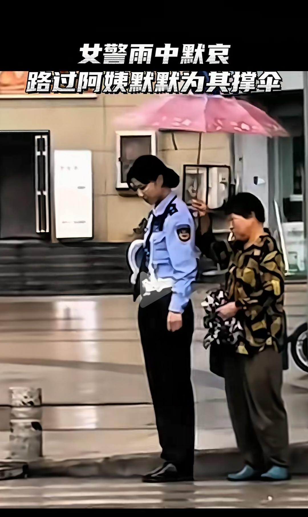 无言的陪伴