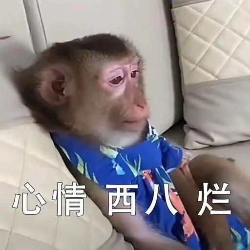 水逆水逆！！！牙痛不是病，痛起来要人命。怎么偏偏赶上这个时候牙痛，审核已经够烦了