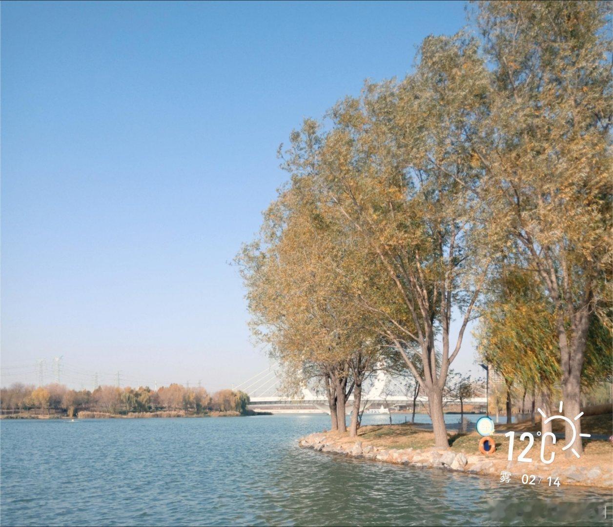 早安       有点进入春季的味道了……    