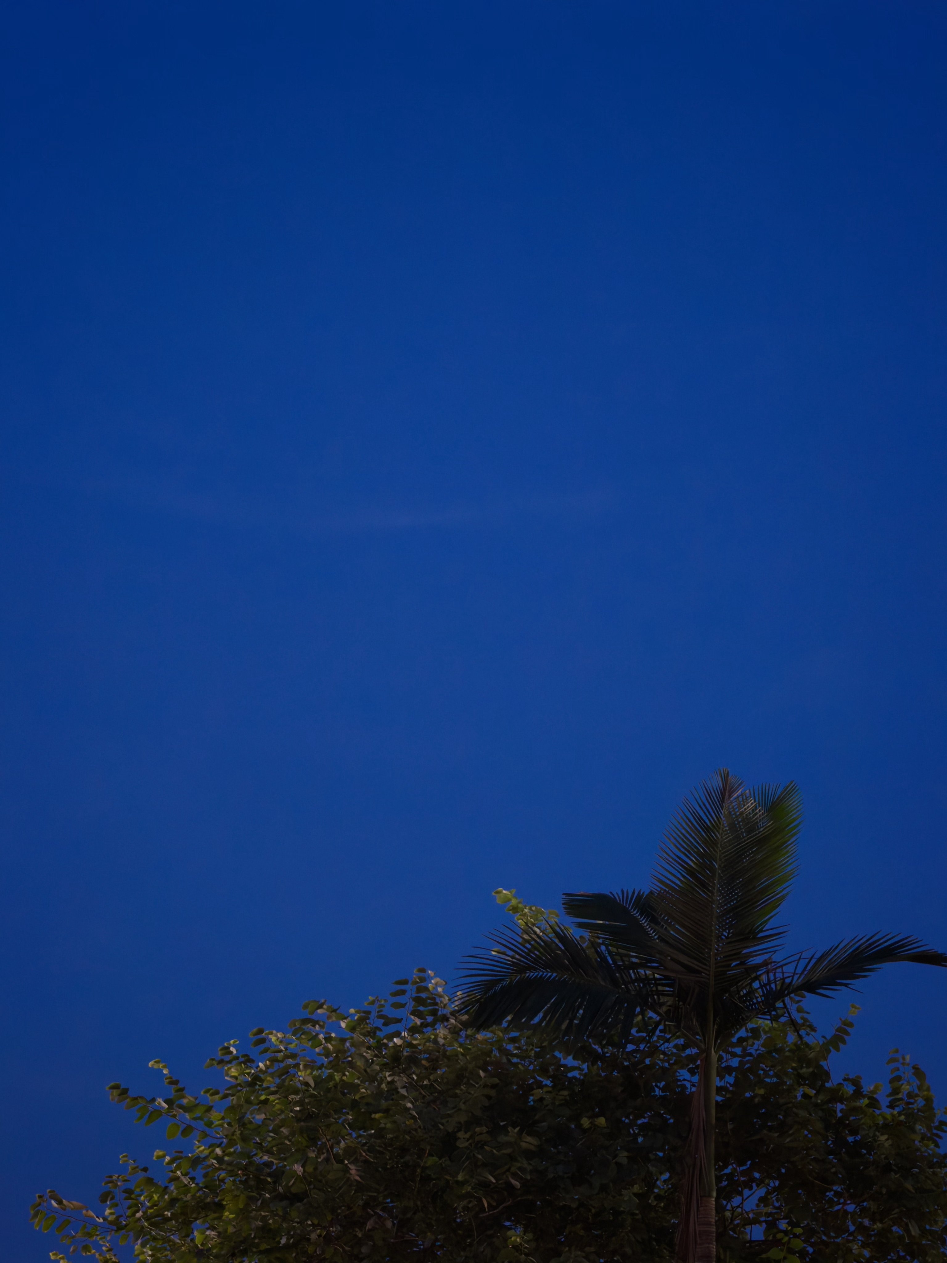 Blues Moment ​​​