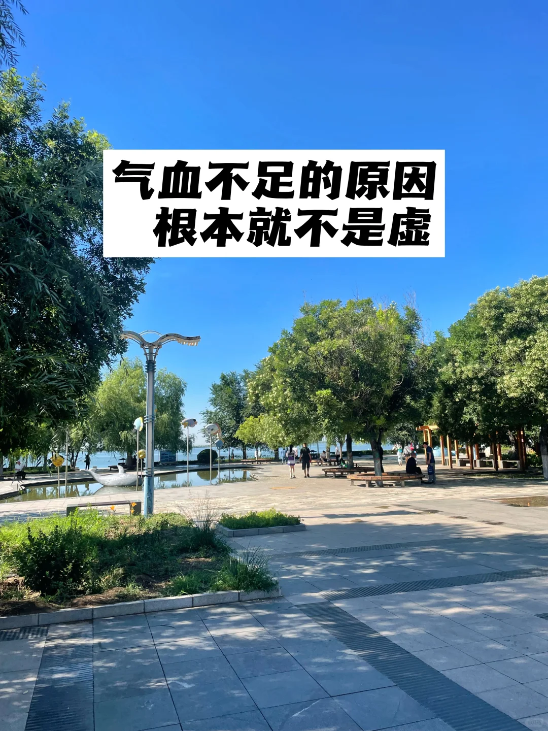 气血不足的原因，根本就不是虚.