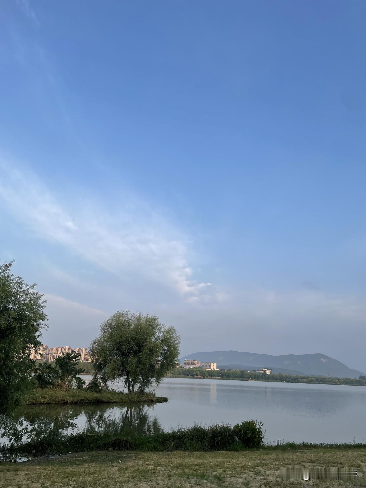 夏日蓝天别错过，随手一拍都好看。