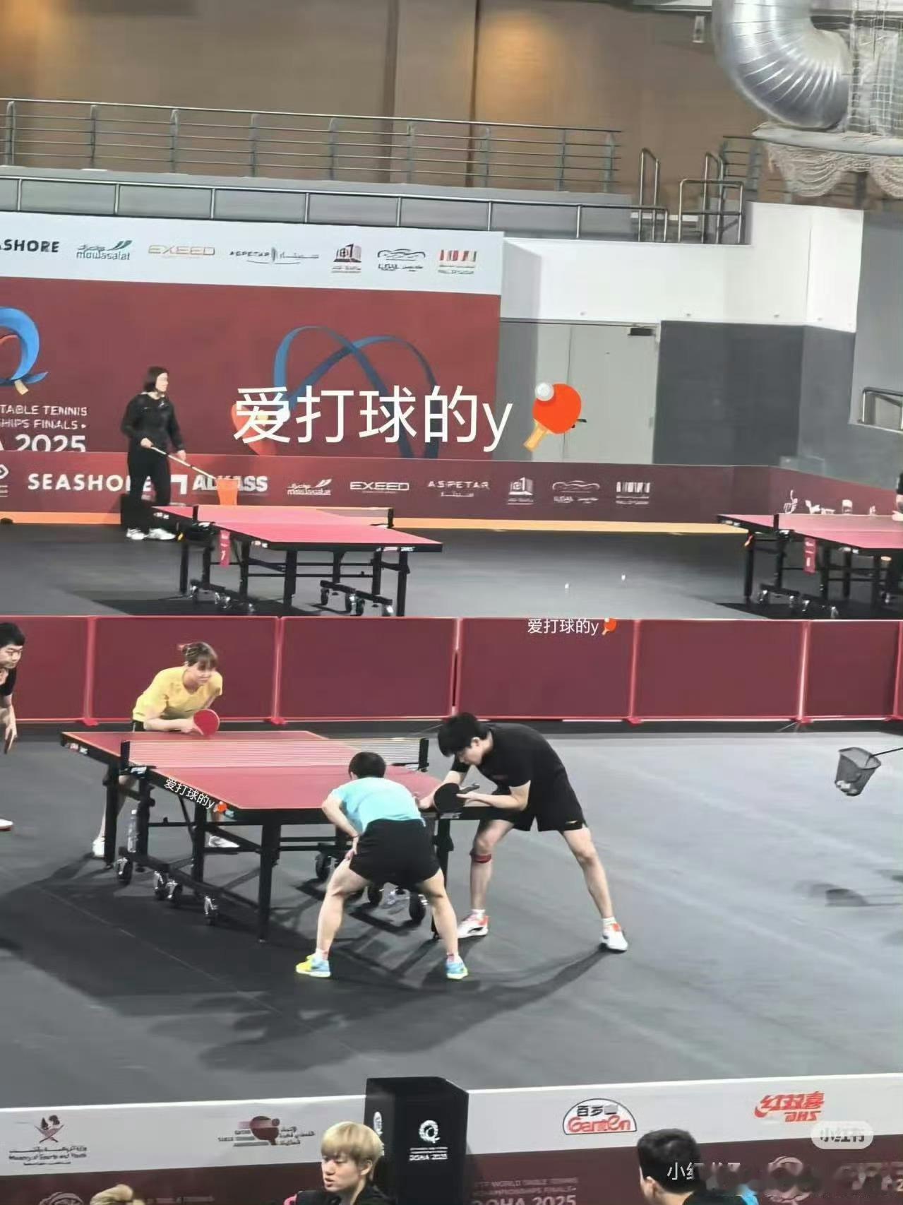 这不是还没丝？陪练怎么还选择性呢？王楚钦半区左手多但没左手陪练，王楚钦不打男双却