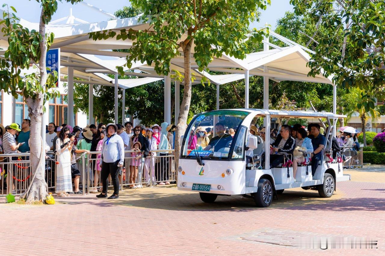 春节登西岛牛王岭，刚到观景台就被狠狠惊艳到！这里是西岛制高点，放眼望去全是无边玻