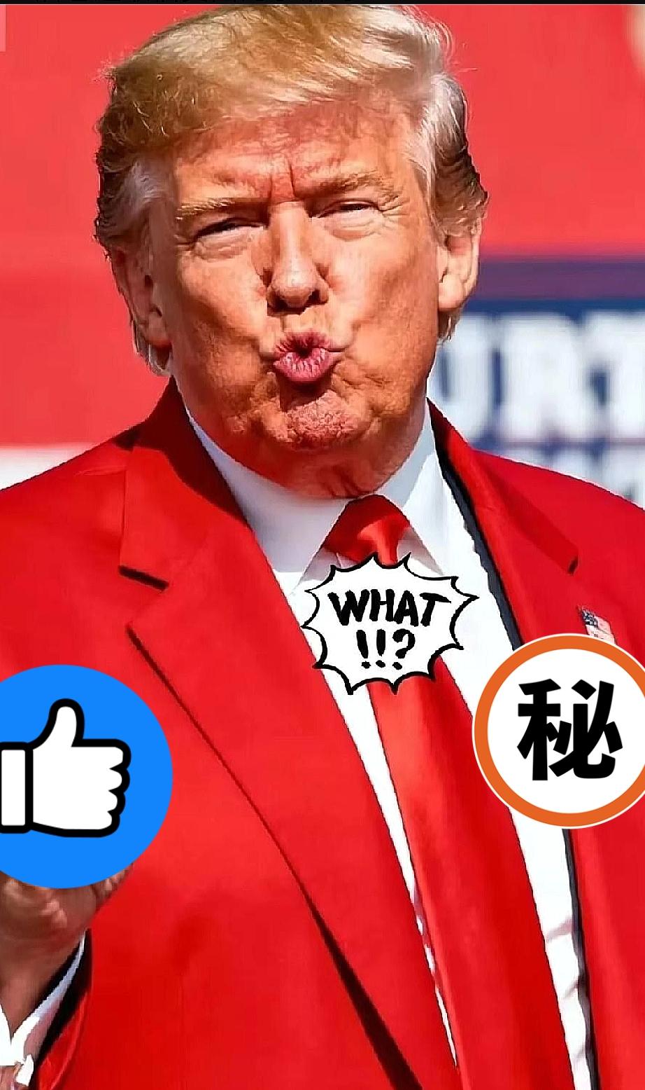 快讯！快讯！

美国总统宣布了

特朗普又在忽悠乌克兰了。

10月22日，特朗