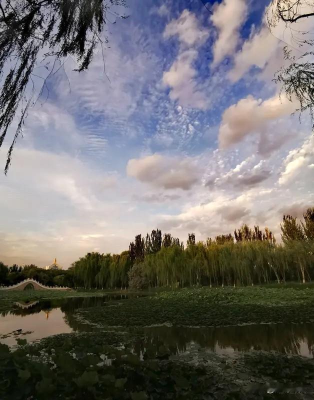 全红婵全运会复出首秀堪称神勇！11月2日晚，在十五运会跳水女子团体决赛中，她时隔