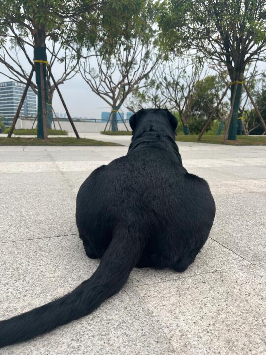 这角度真绝了哈哈哈哈哈