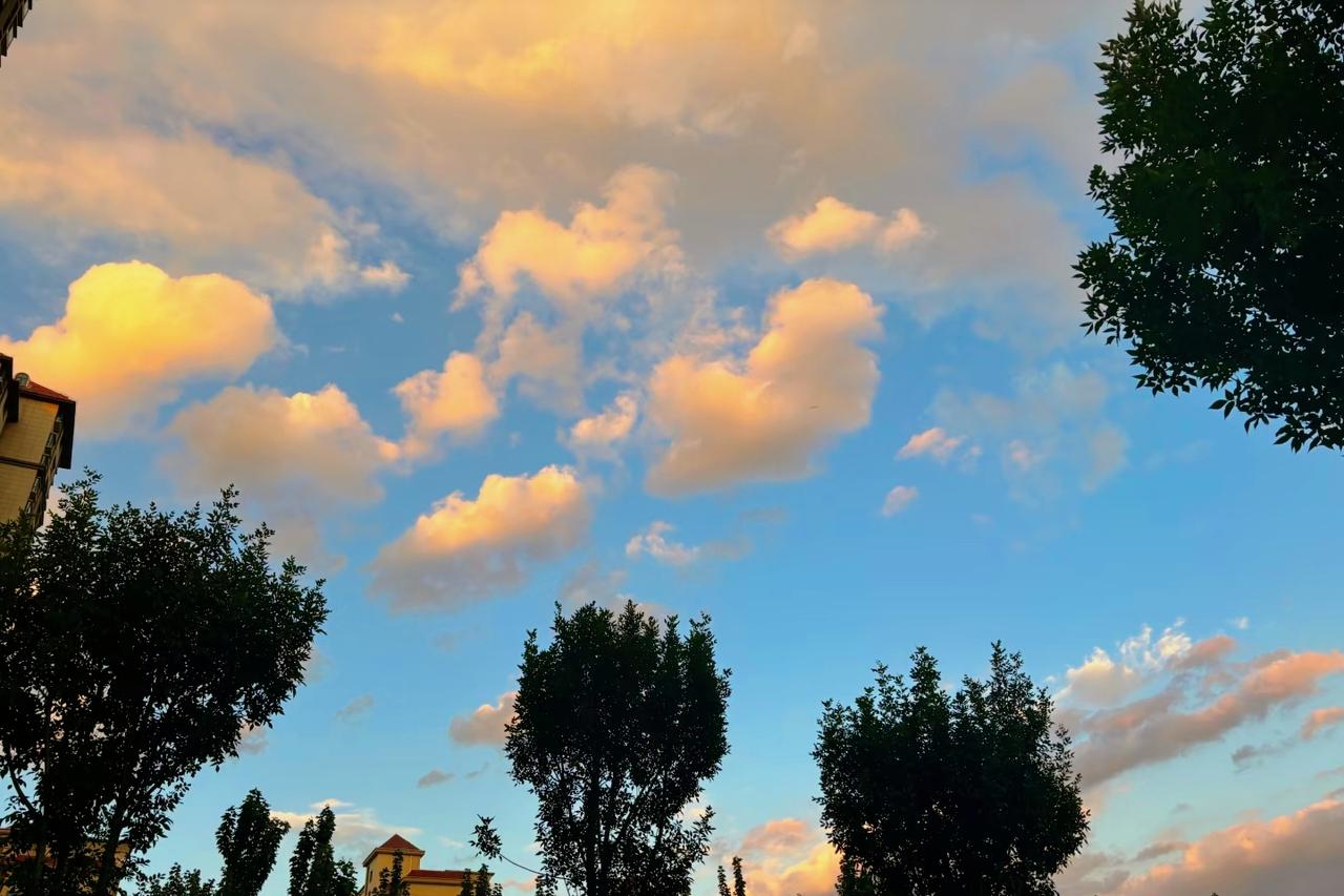 我的闺蜜说了一段通透的话:
“千万不要找35岁以上的大龄男，年龄真的是他们最小的