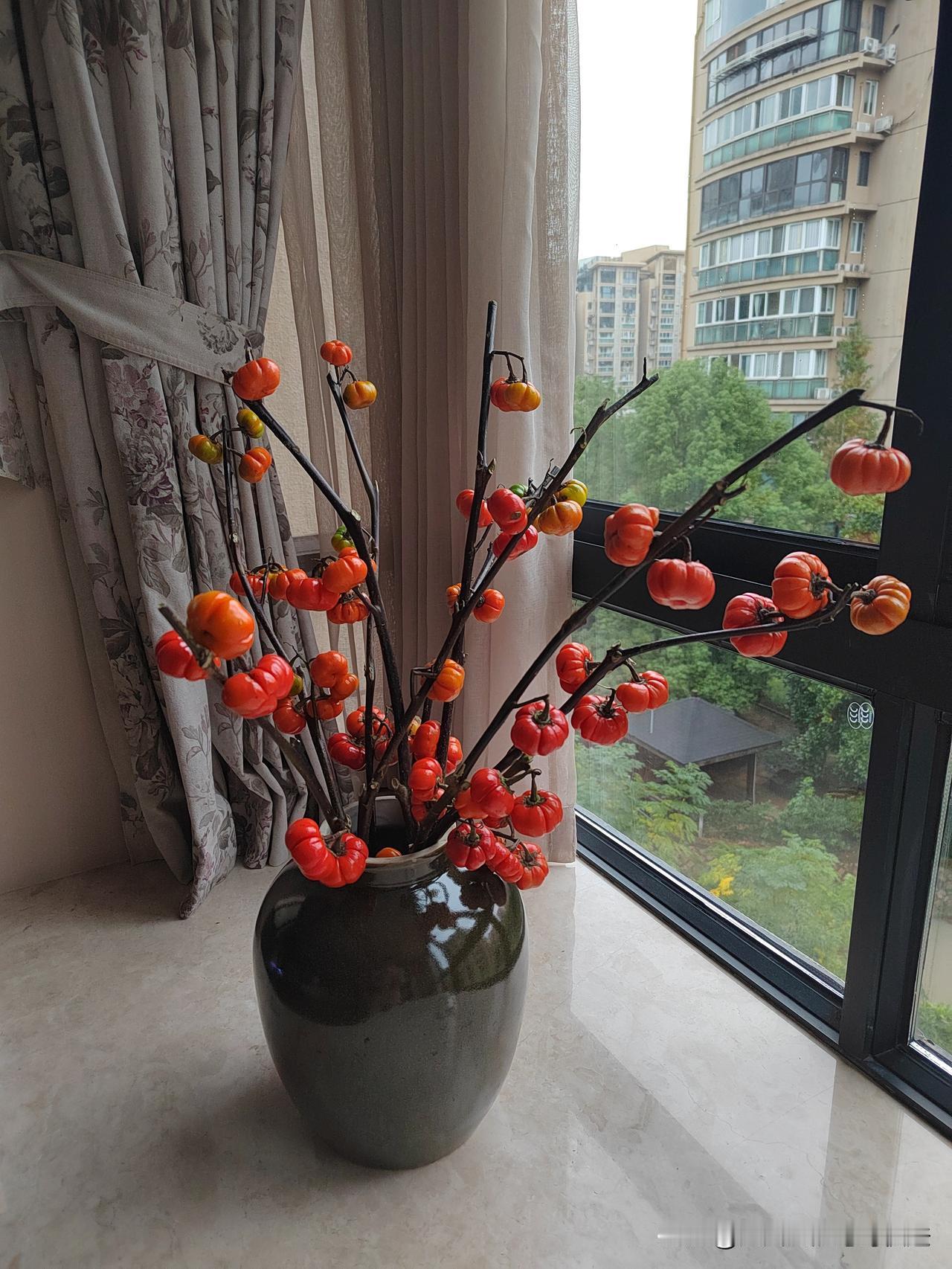 今天，女儿从网上购买的一束云南‌小南瓜插花，因整体上比较大，故在家中找出来一个小