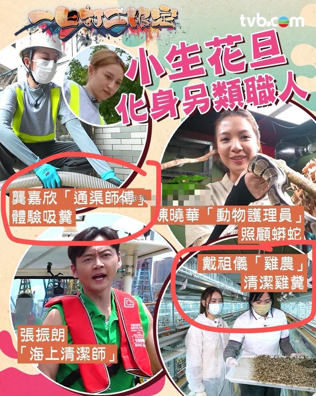 香港真的不把艺人当高高在上的明星，这一点内地拍马都赶不上！[闭嘴]

TVB马上
