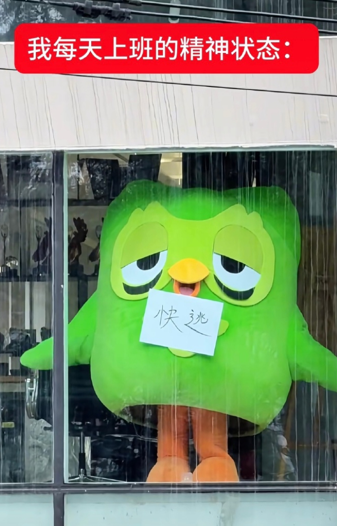 车若初见 快去艾特你那个最像它的同事