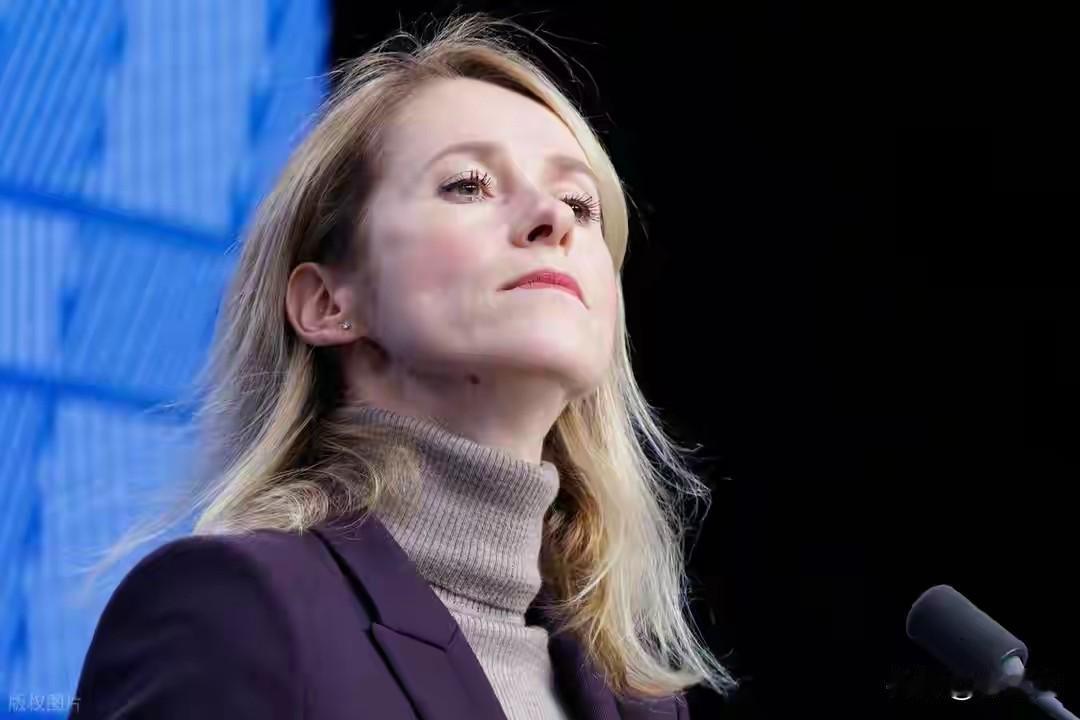 毛遂自荐
欧洲人要上俄乌谈判桌，俄罗斯点名德国前总理施罗德可代表欧盟当谈判的调停