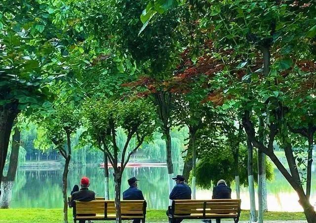 60 岁以后，什么最可怕？不是没钱，也不是生病。你若经历过，就会明白以下这 5 