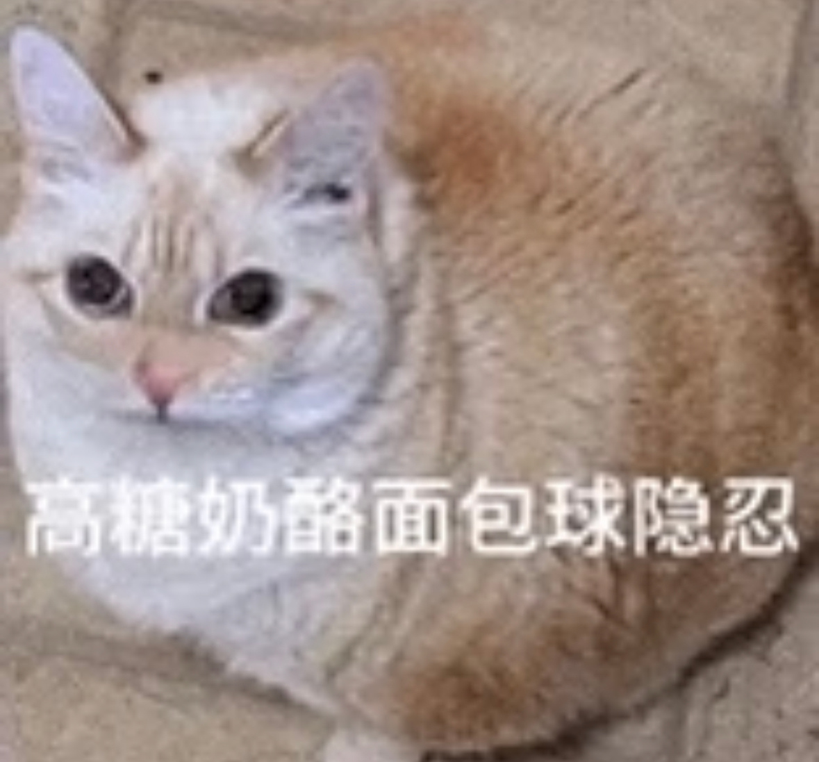 我和你们说我都不敢发狠忘情嬷展昭就怕整点啥不堪入目的玩意儿传出去了每天定时定点上