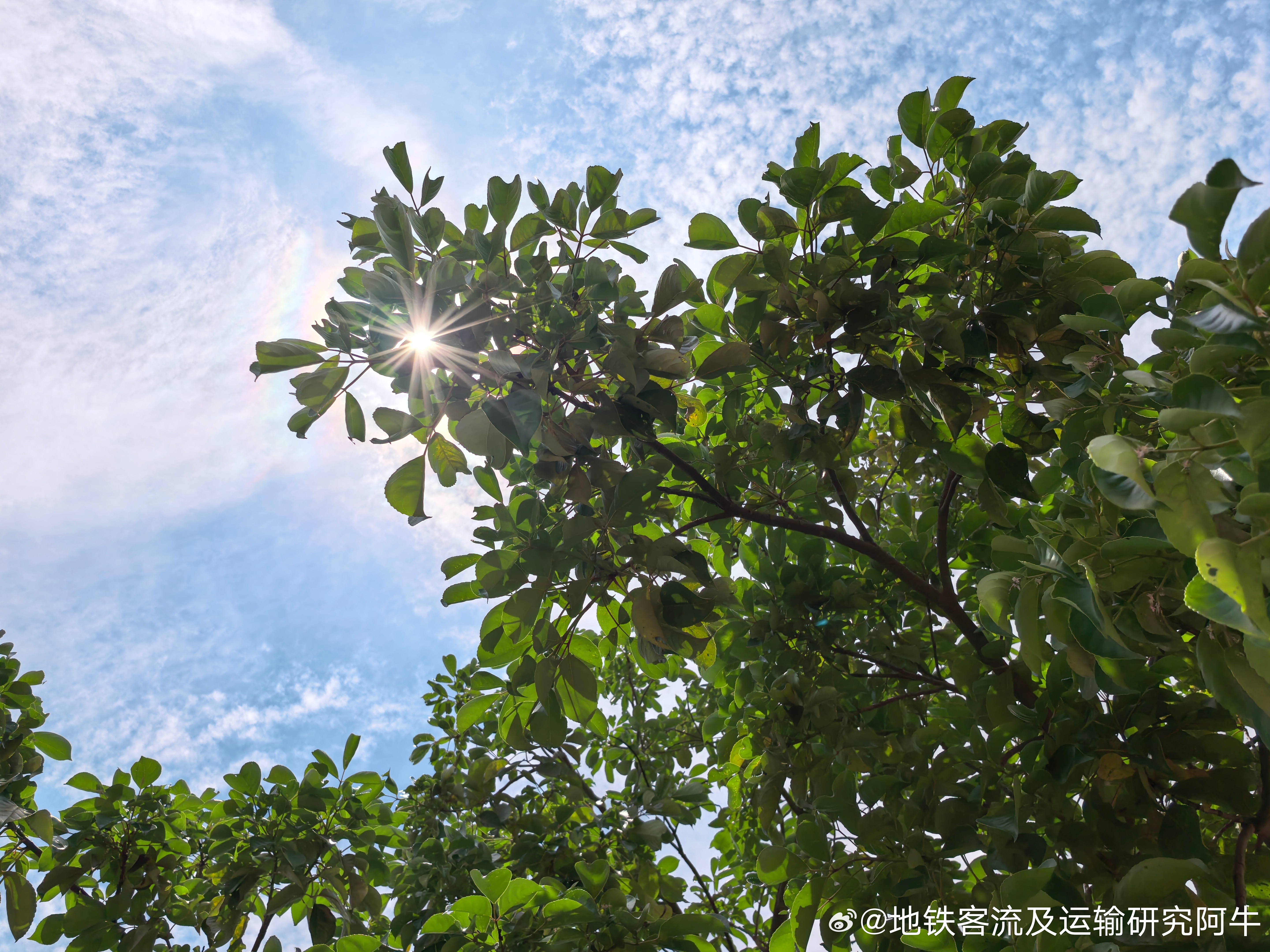 【深圳天气深圳地铁 】网友： 今日（20260522）周五，深圳雨后转晴，天气一