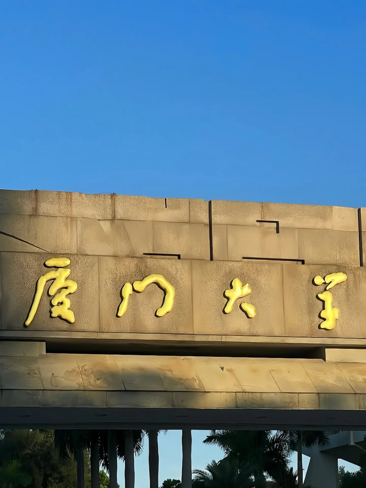 小说里的大学，颜值与实力并存