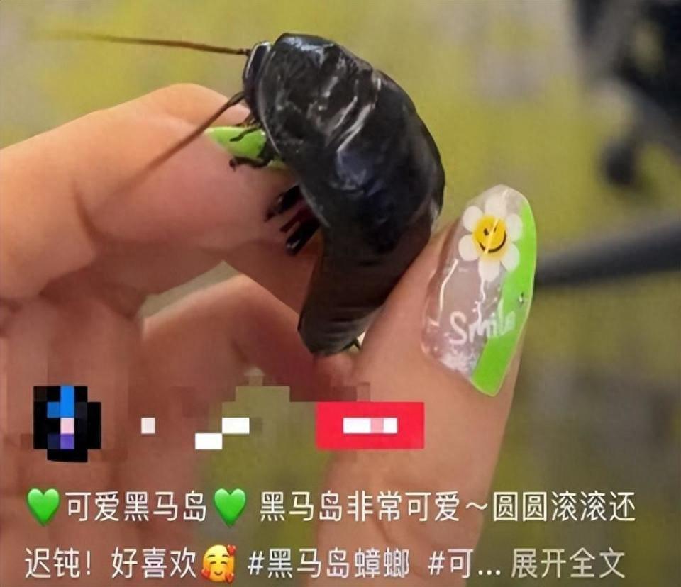 “解释不清了！”浙江，杨某看到家门口有虫子，就用杀虫剂喷死了。结果邻居却找上门来