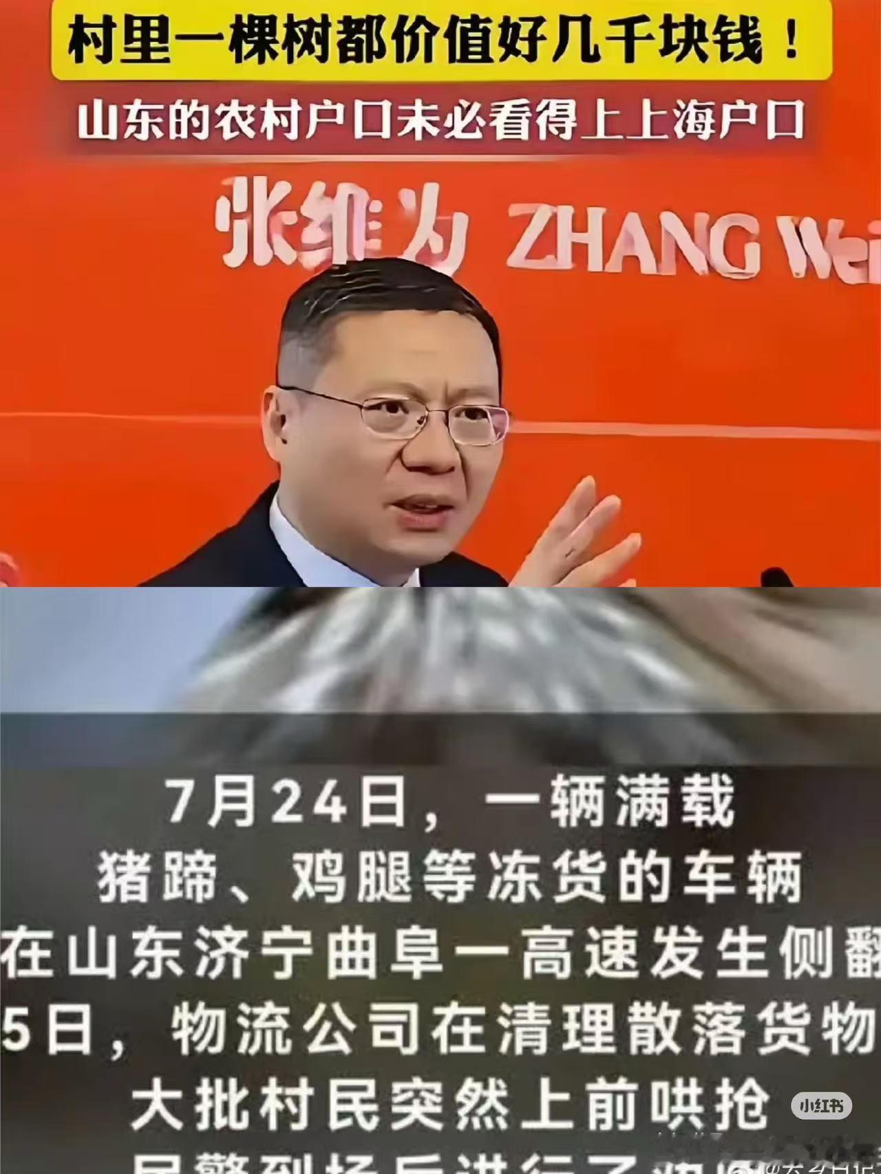 什么树这么值钱？