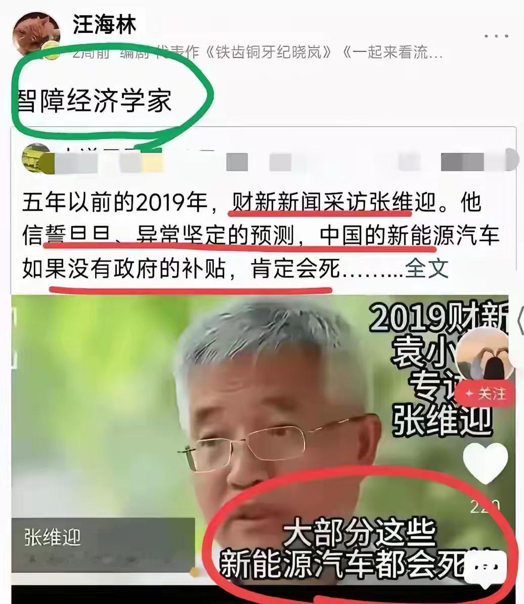比亚迪给了经济学家一个响亮的耳光！