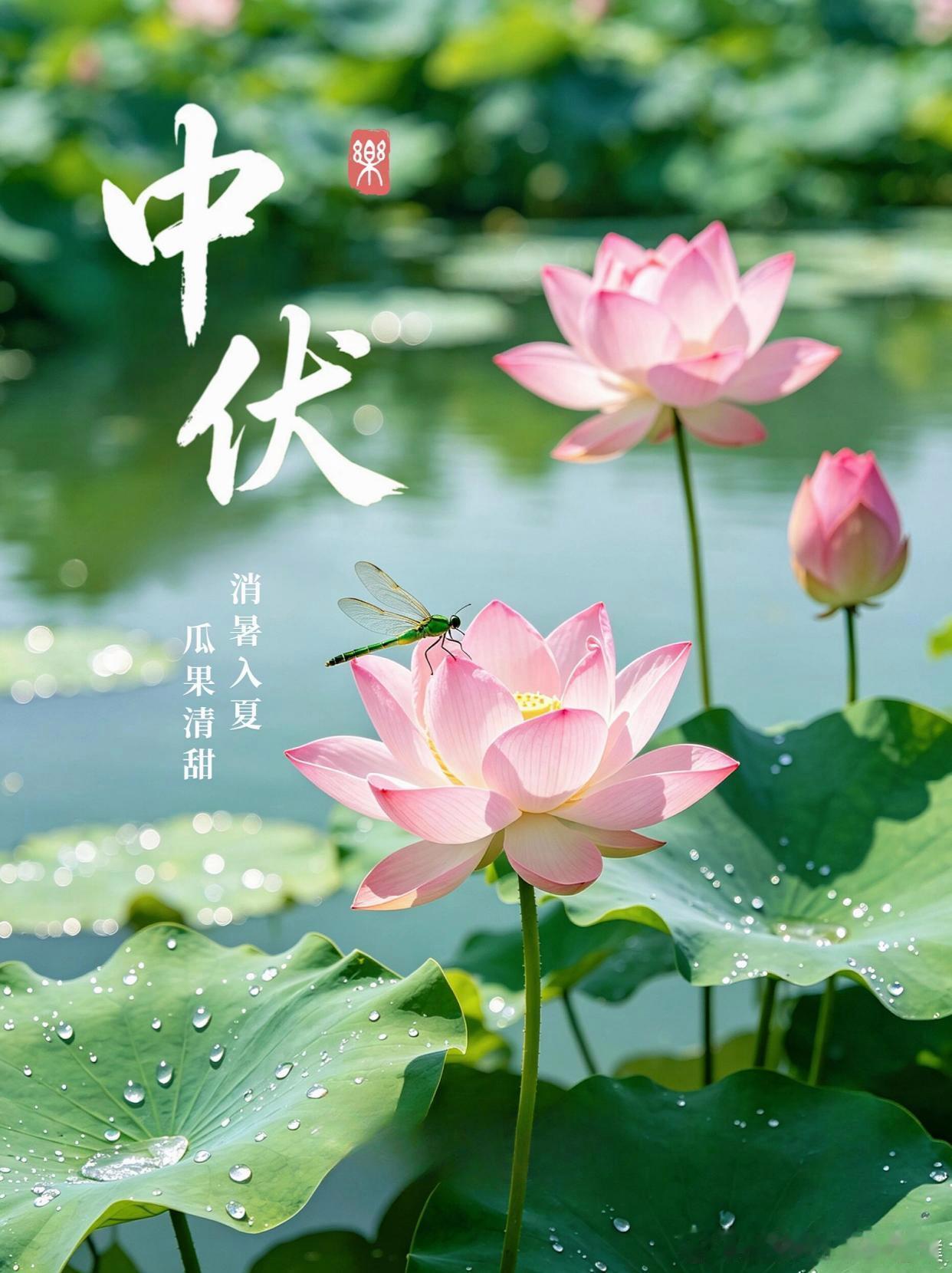 时节入中伏，福气伴朝夕。在热烈滚烫的夏日里，守一份清宁，怀一份淡然。中伏漫漫，热