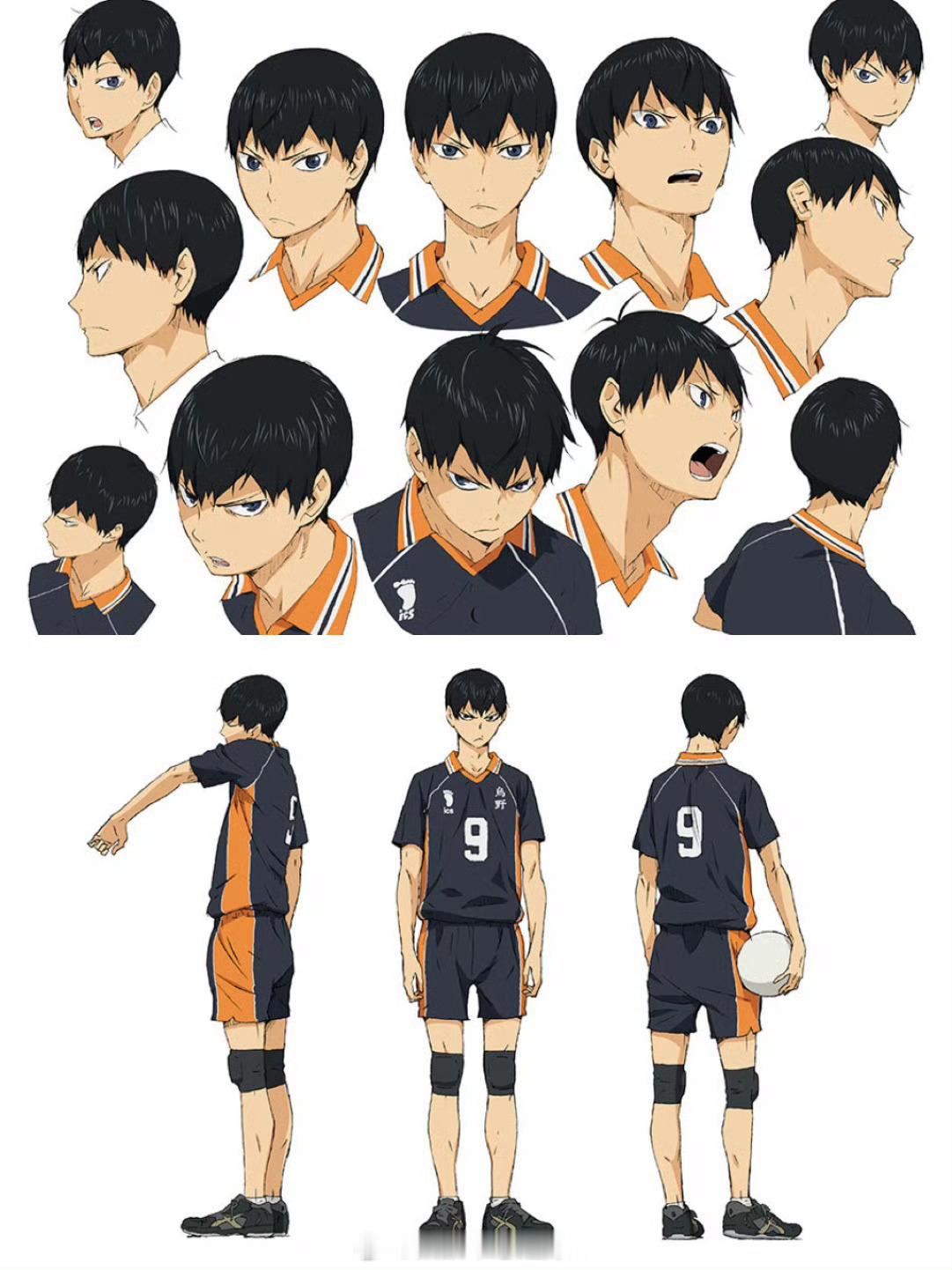 #排球少年[超话]##排球少年# 乌野人物设定图合集 ​​​