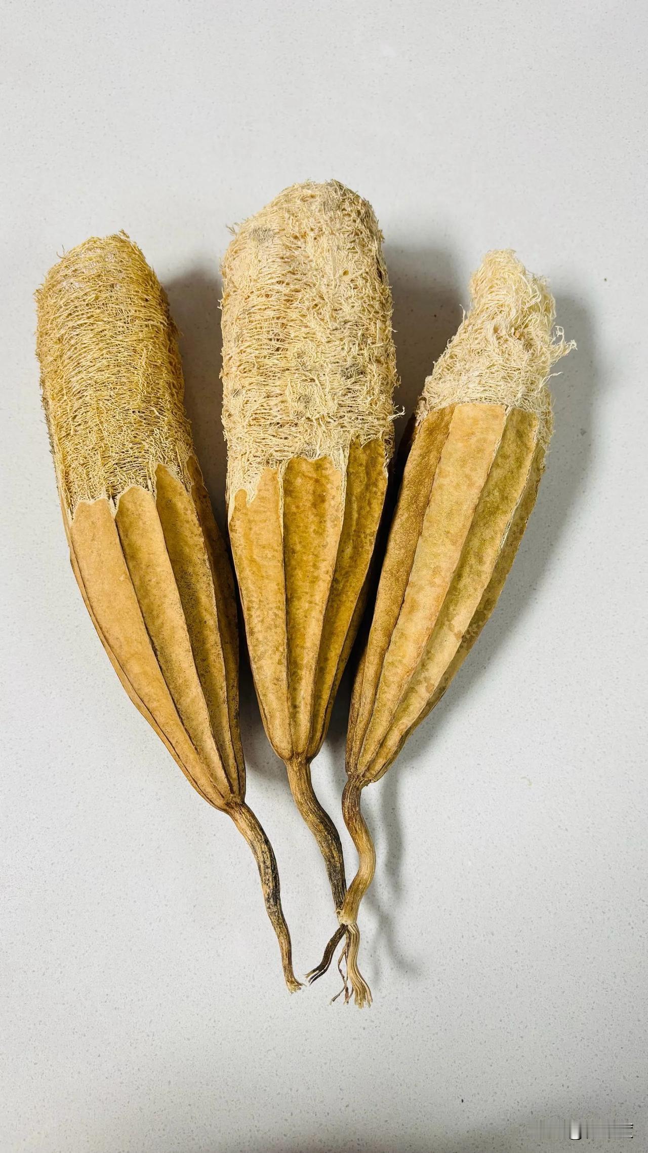 我妈说这样洗锅手就不用碰水了[偷笑]锅要这样刷 锅清洁方法 洗锅碗碟