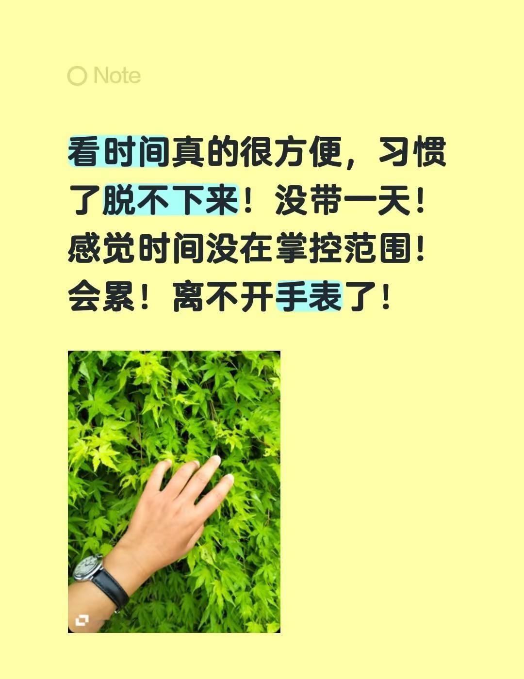 我回复了@猫猫好物 的评论：看时间真的很方便，习惯了脱不下来！没带一天！感觉时间