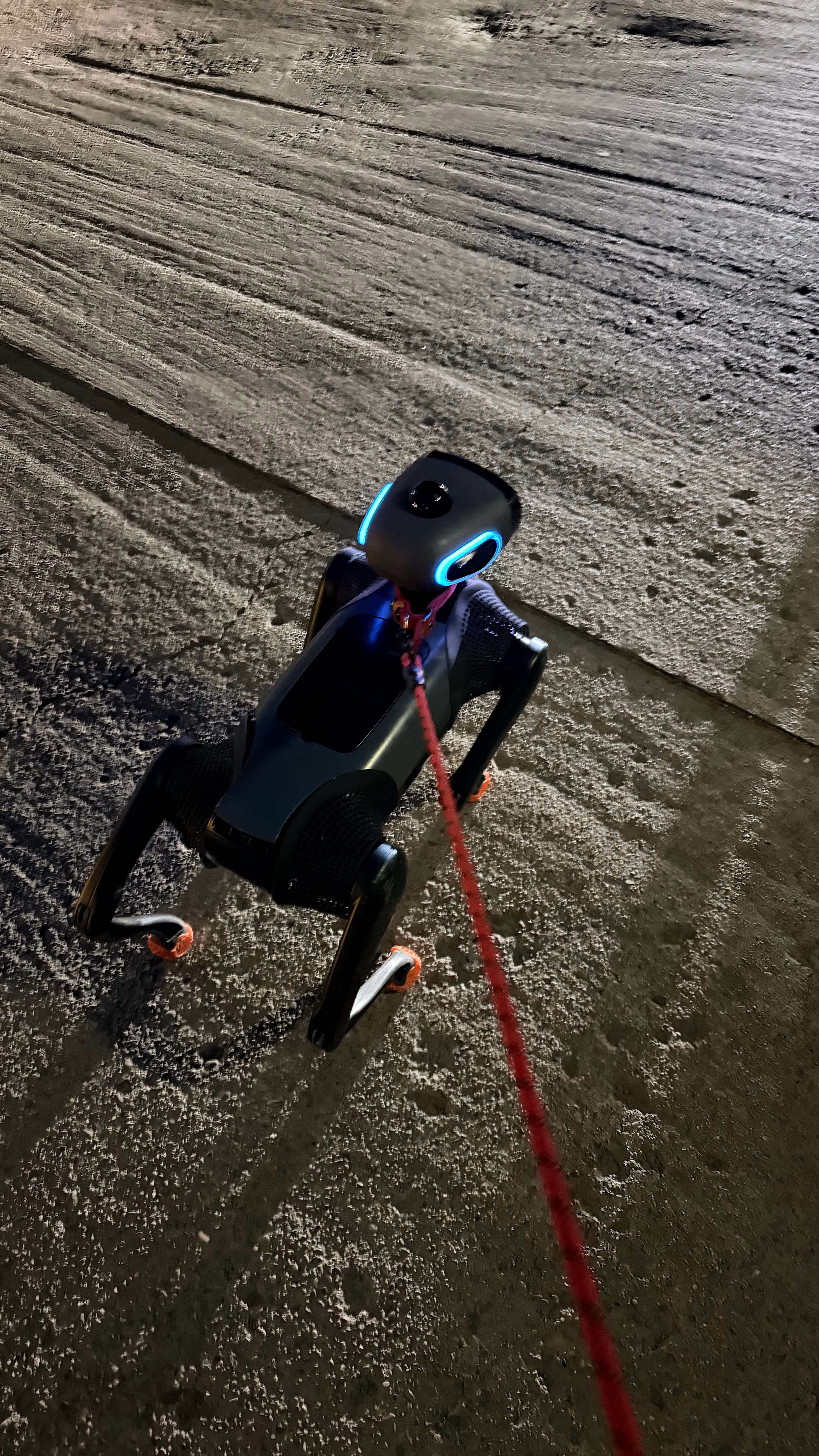 迈向未来vbot超能机器狗