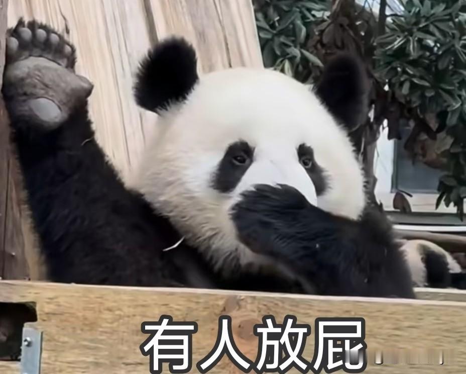 我能说什么呢？说真心话这个小作文我是真的不想写了！怎一个累字了得[泪奔]
不是被