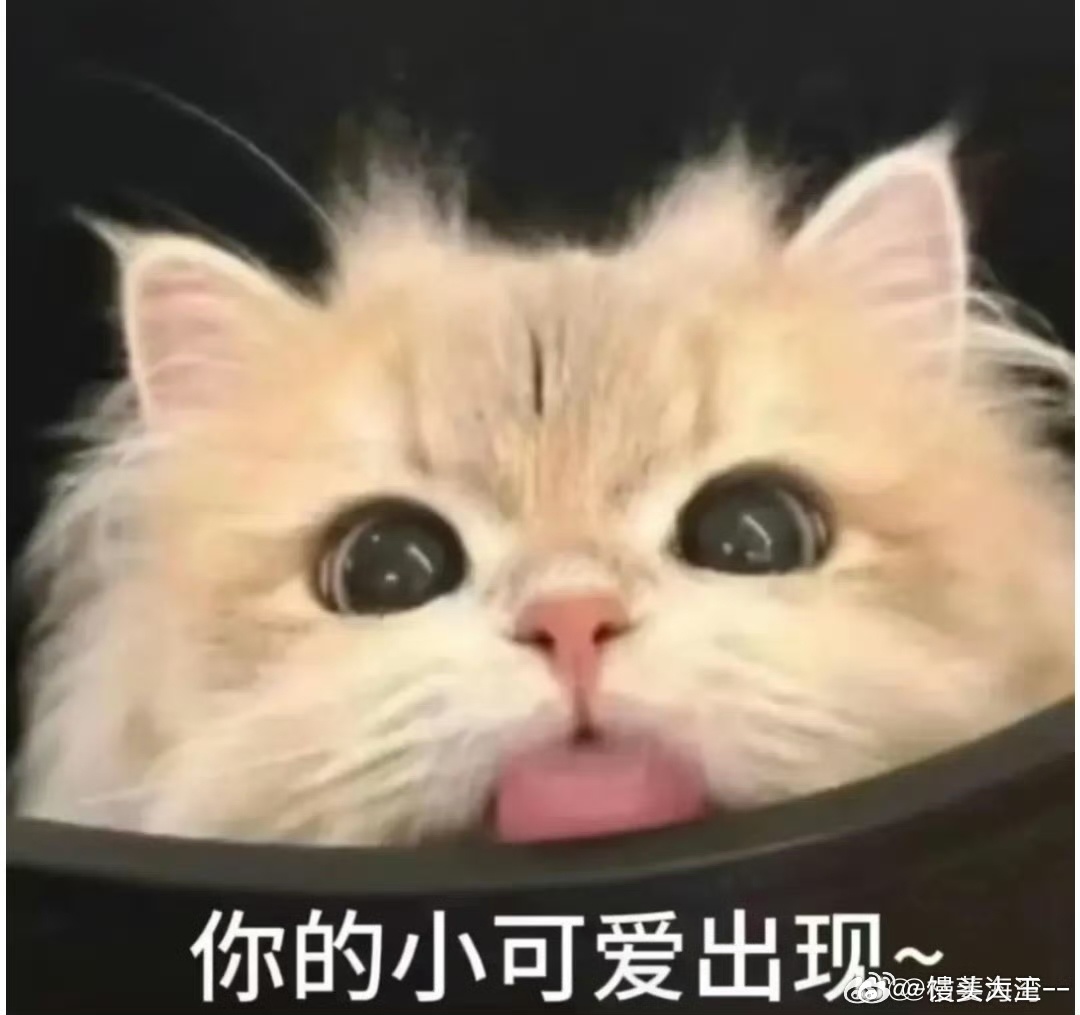 爸妈用车vs我用车 爸妈用车讲究规矩体面，连坐姿都保持端正，我用车怎么舒服怎么来