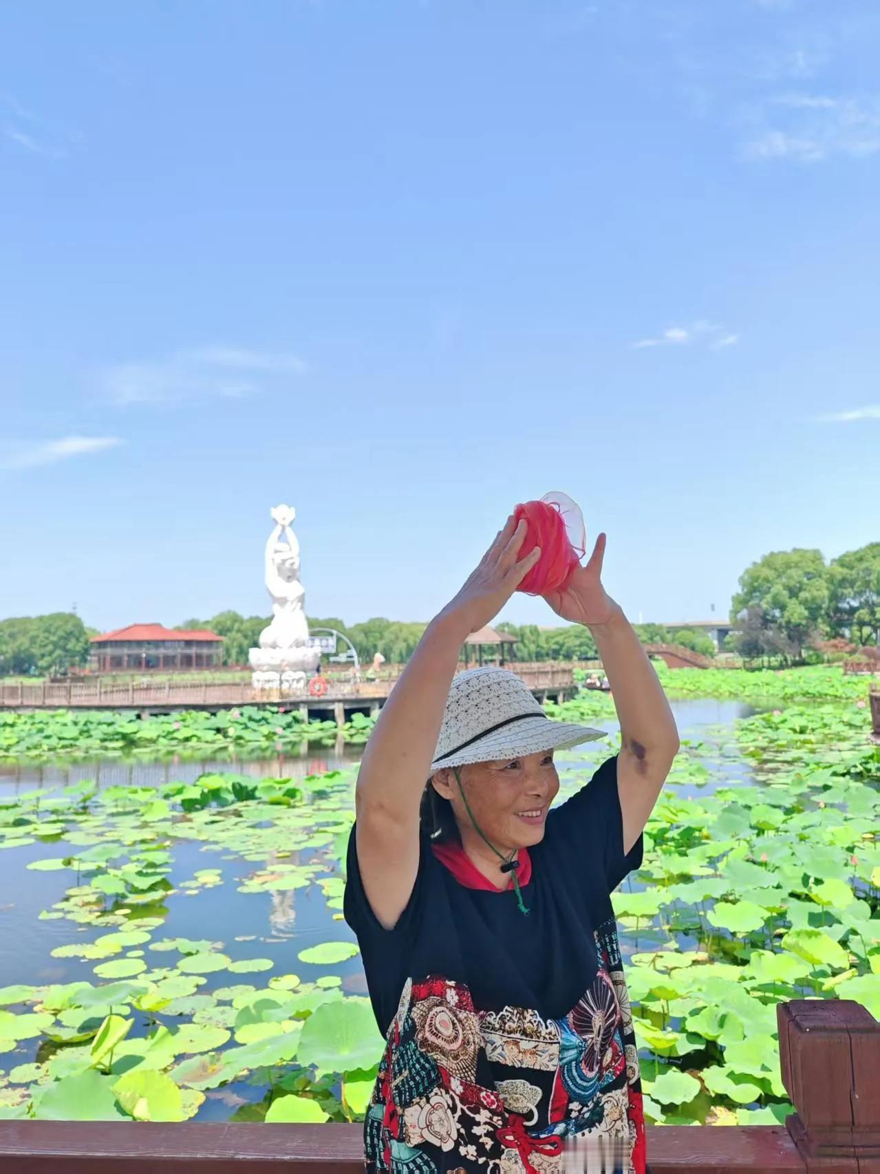 手机随手拍的荷花苏州荷塘月色公园